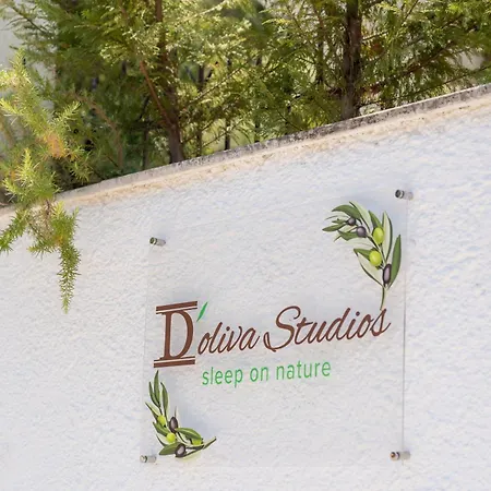 Doliva With Private Pool דירה